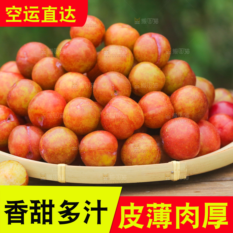 一篮红色三月李