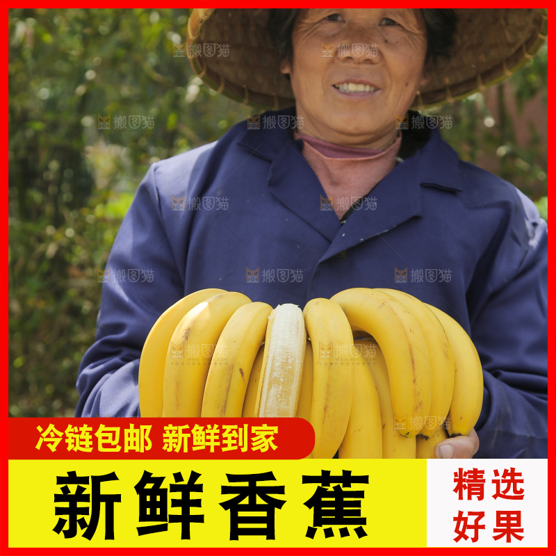 手里拿着一串黄皮香蕉