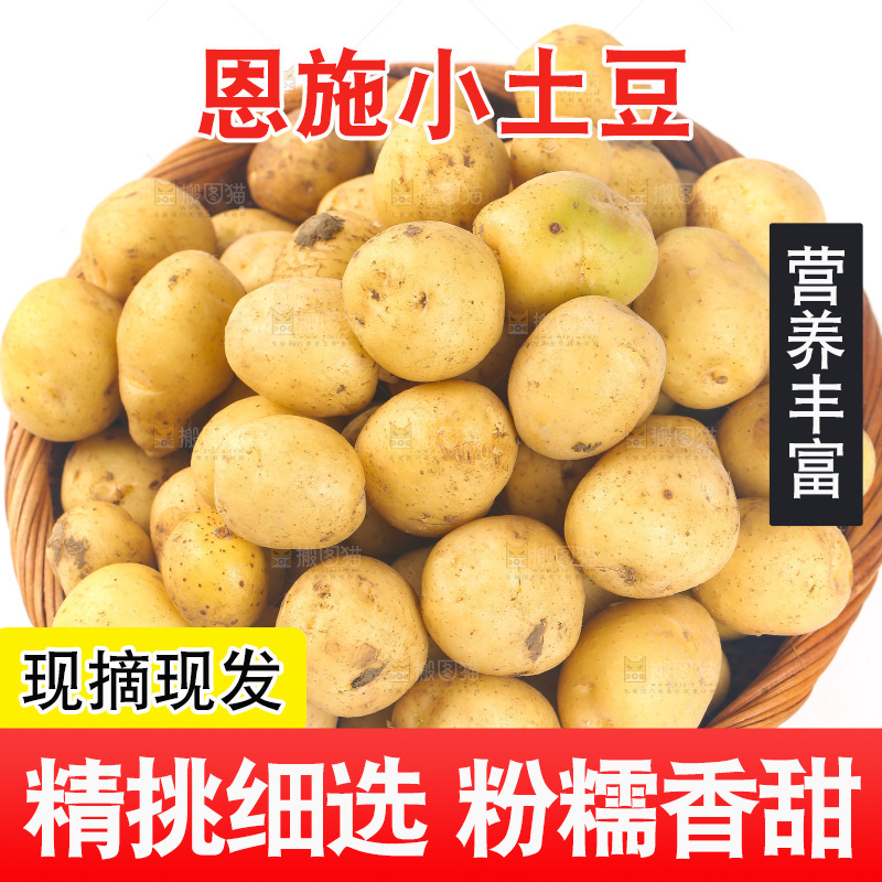 一篮小土豆