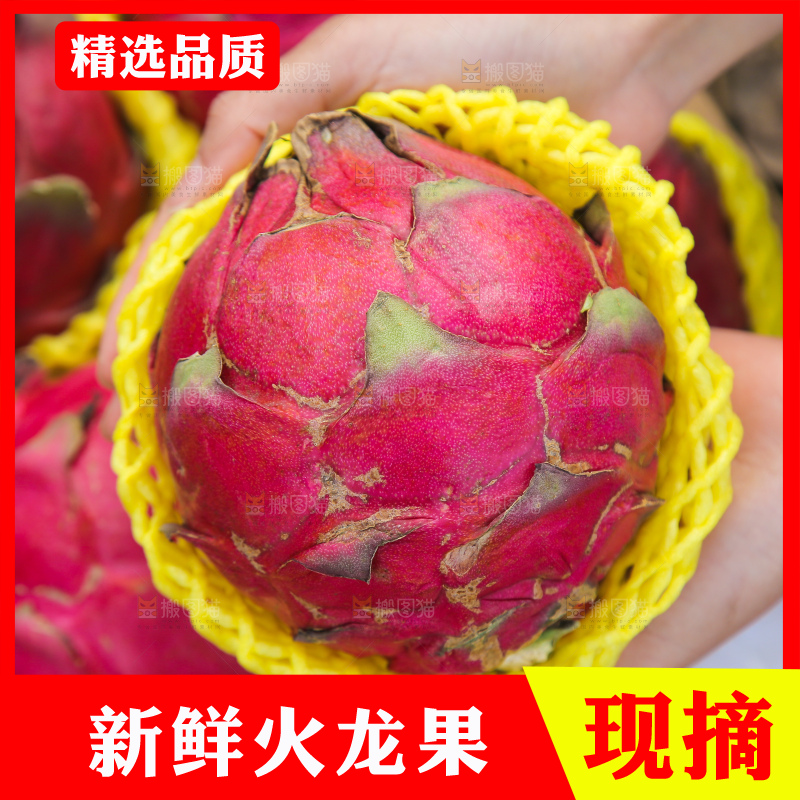 手里拿着金都一号火龙果