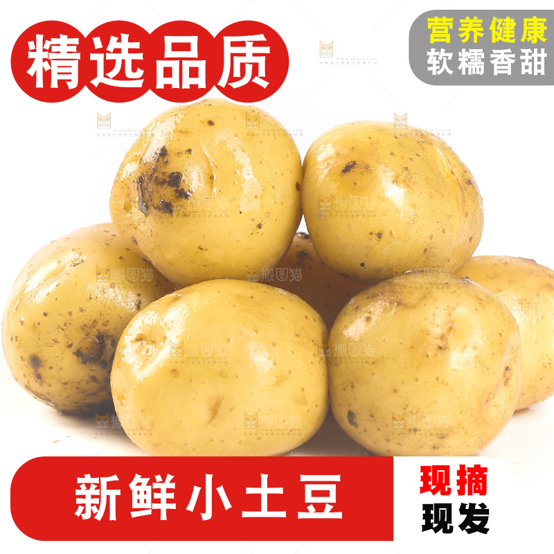 一堆新鲜小土豆