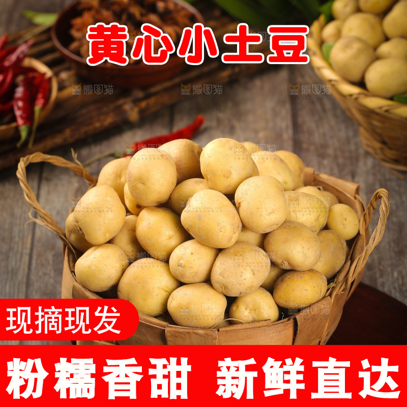 一篮黄皮小土豆