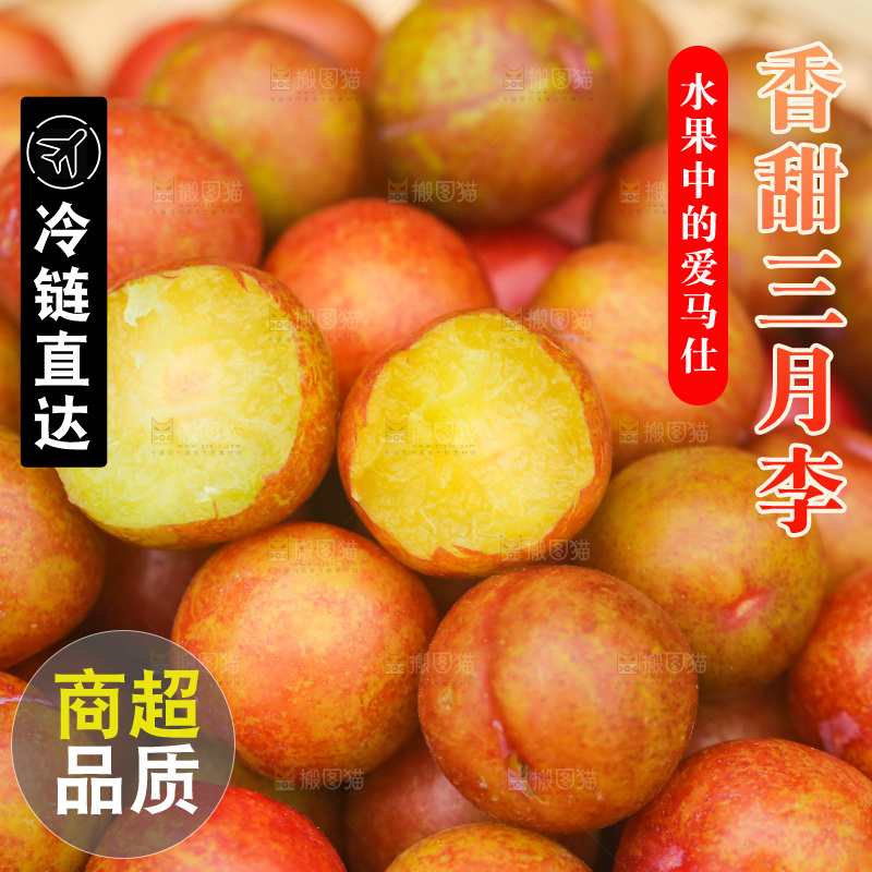 三月李纹理