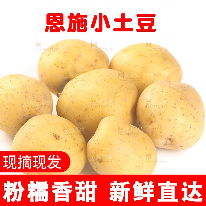 白底上的黄皮小土豆