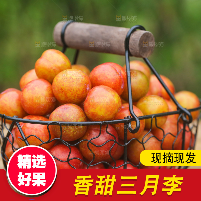 木底上放着一篮新鲜三月李