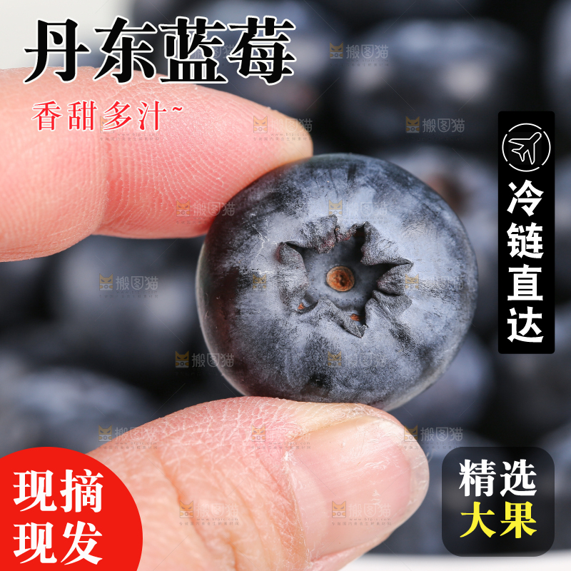 手里拿着蓝莓