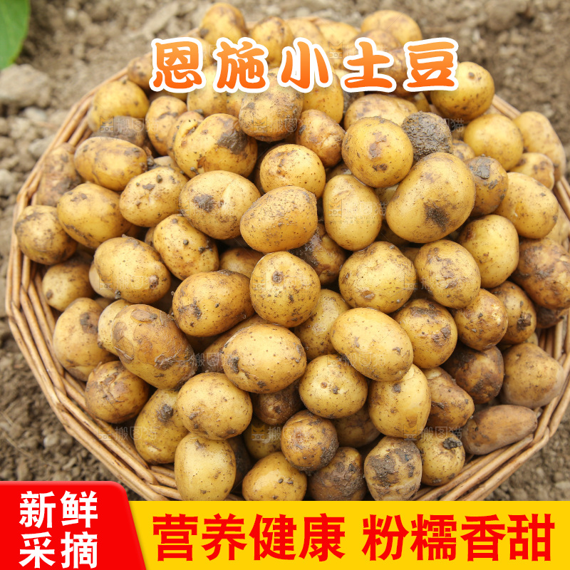 一篮恩施小土豆