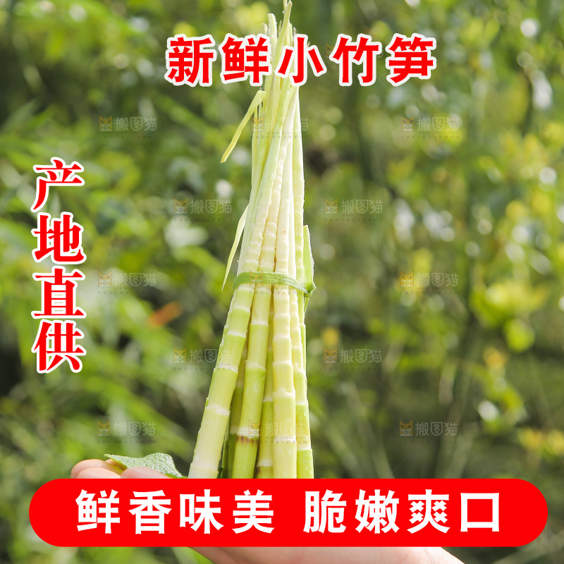 手里拿着小春笋