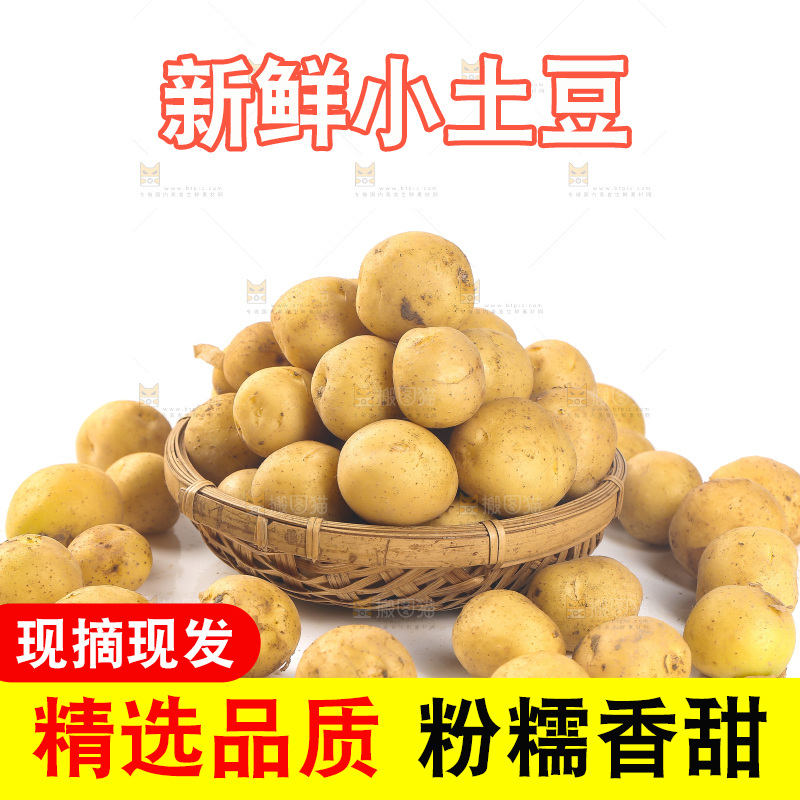 白底上的黄皮小土豆
