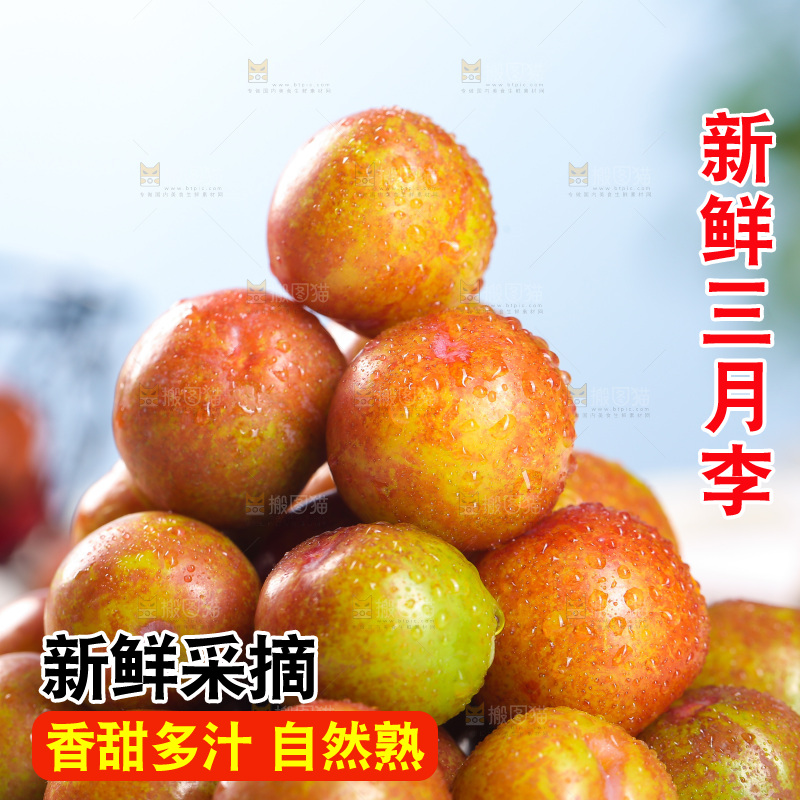 一篮红三月李