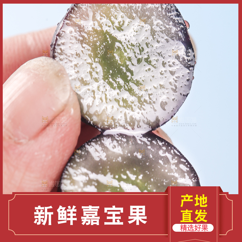 切开的树葡萄