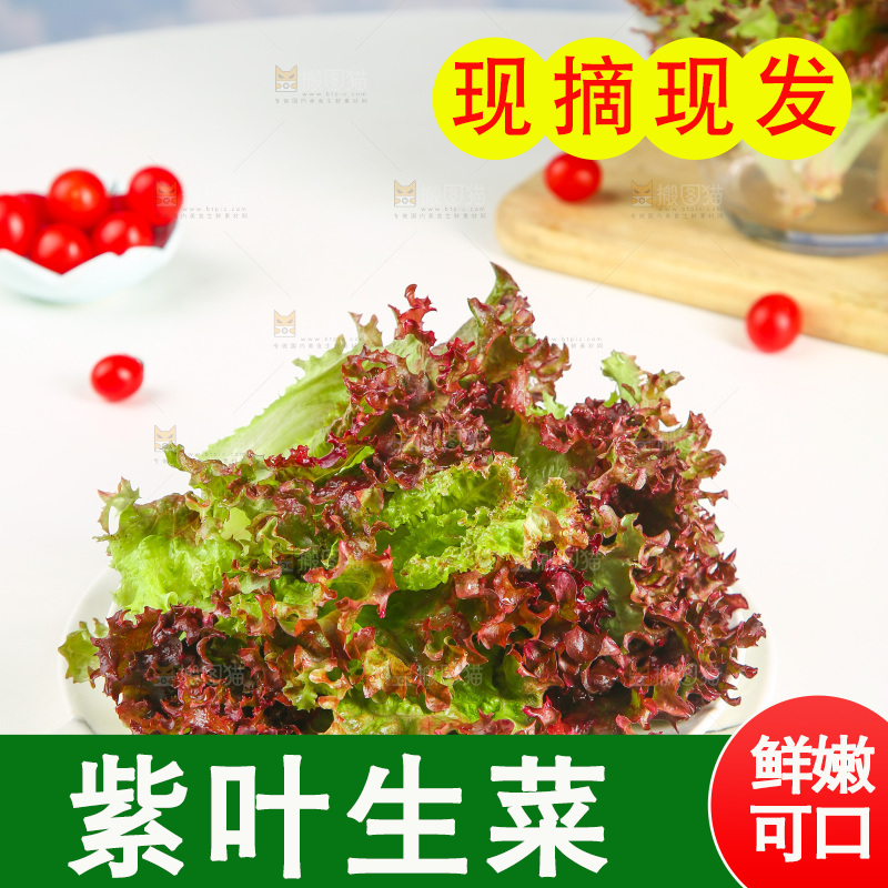 一盘红叶生菜