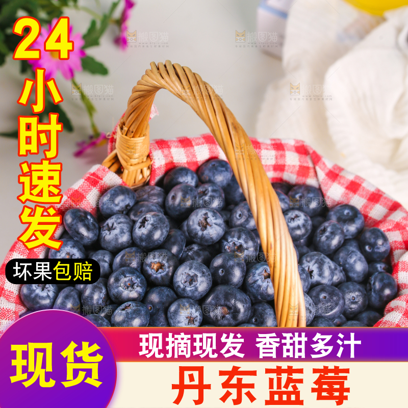 一篓新鲜蓝莓