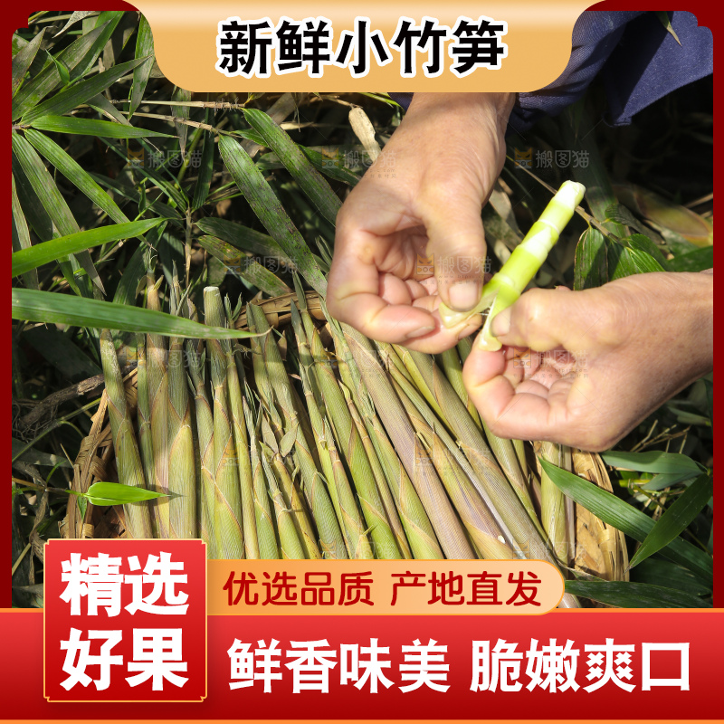 一篮野生小竹笋