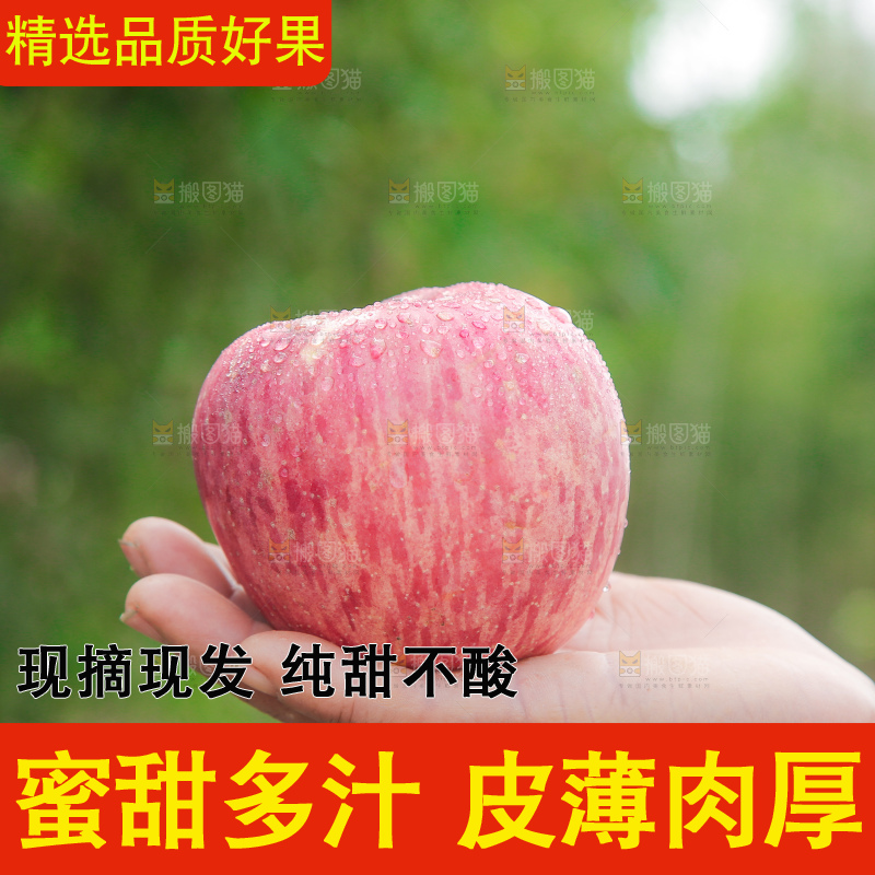 手里拿着红富士