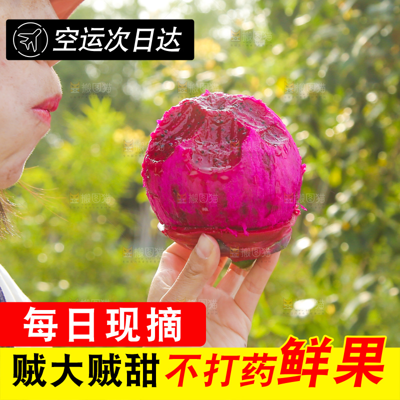 吃着红心火龙果