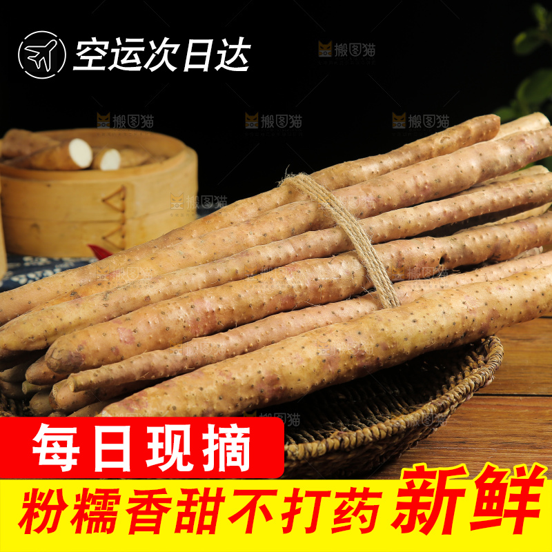 一篮垆土铁棍山药