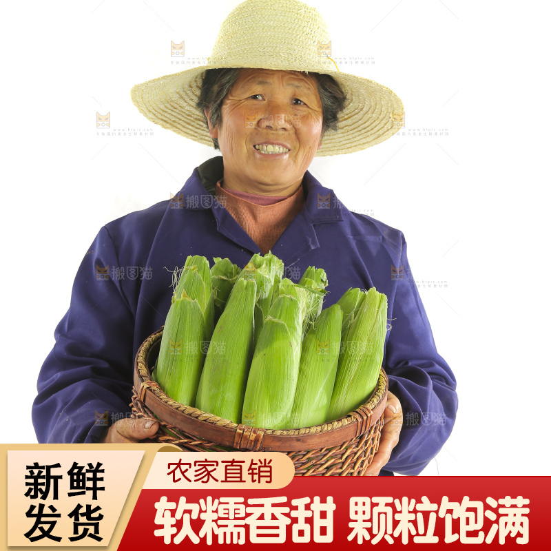 手里端着一篮白糯玉米