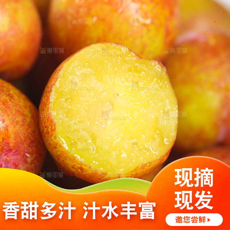 三月李纹理