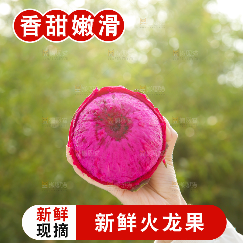 手里拿着红心火龙果