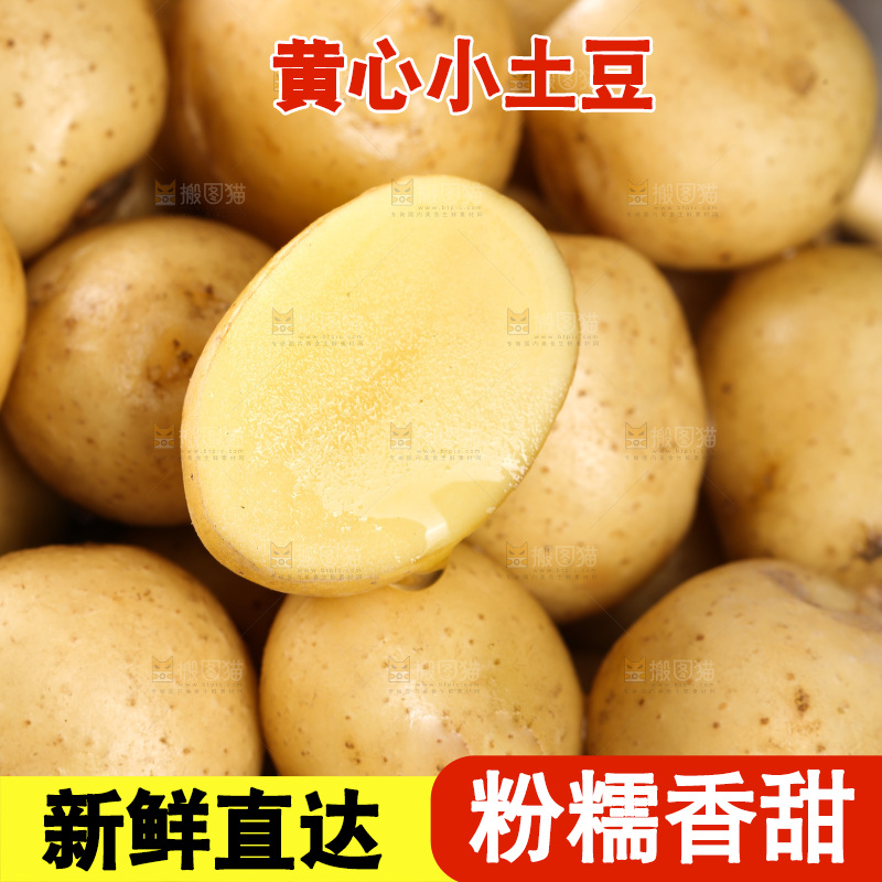 一篮新鲜小土豆