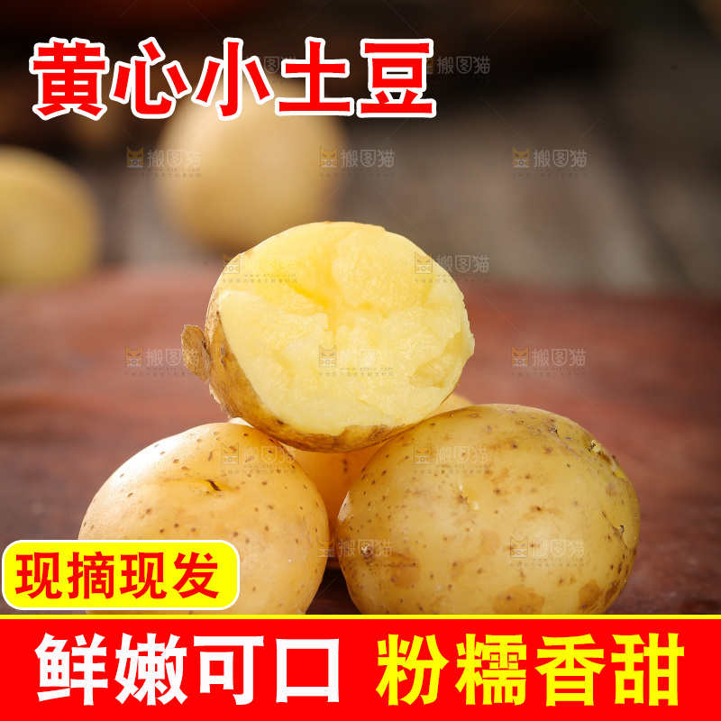 木板上的小土豆
