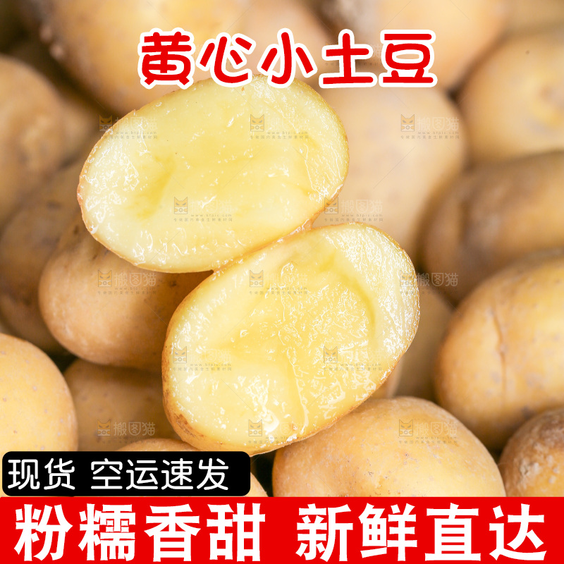 一篮新鲜小土豆