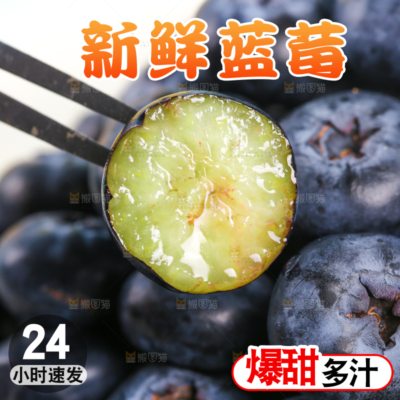 叉子上插着蓝莓