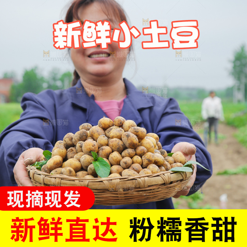 手里端着一篮迷你小土豆