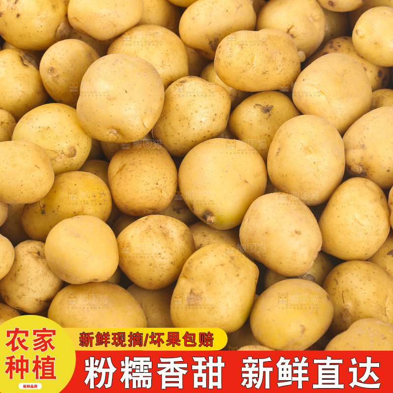一堆恩施小土豆
