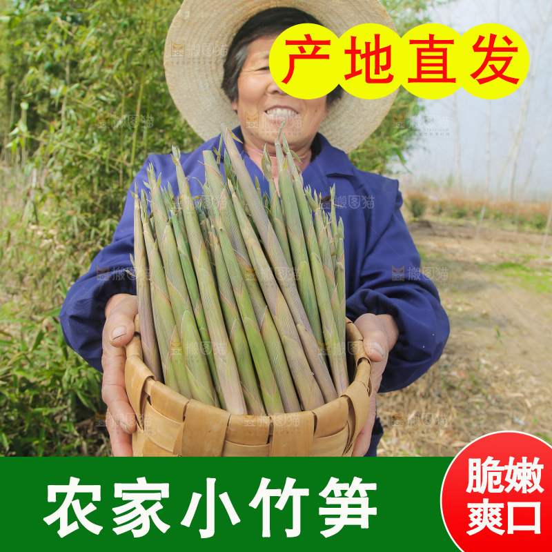 农民手里端着一篮小山笋