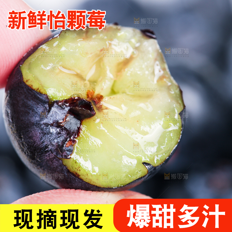 手里拿着蓝莓