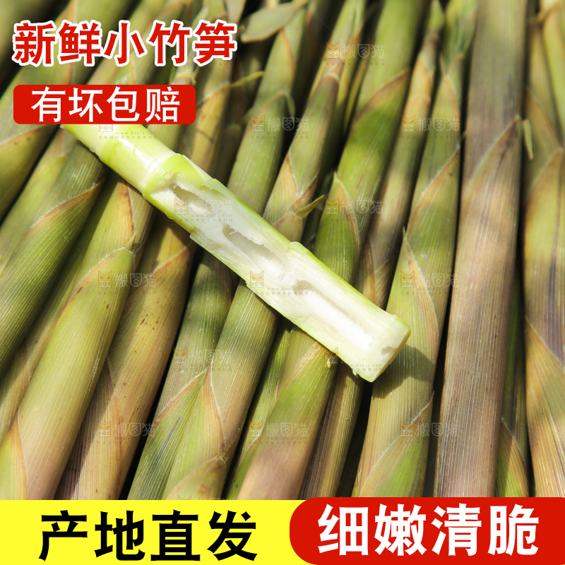 一篮野生小竹笋
