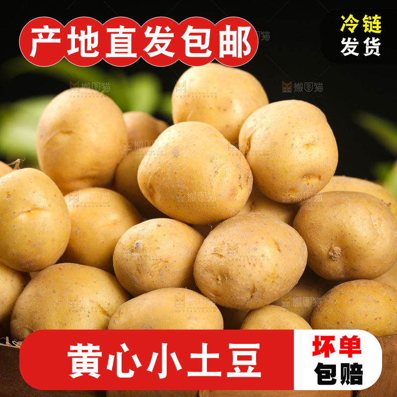 一篮黄皮小土豆