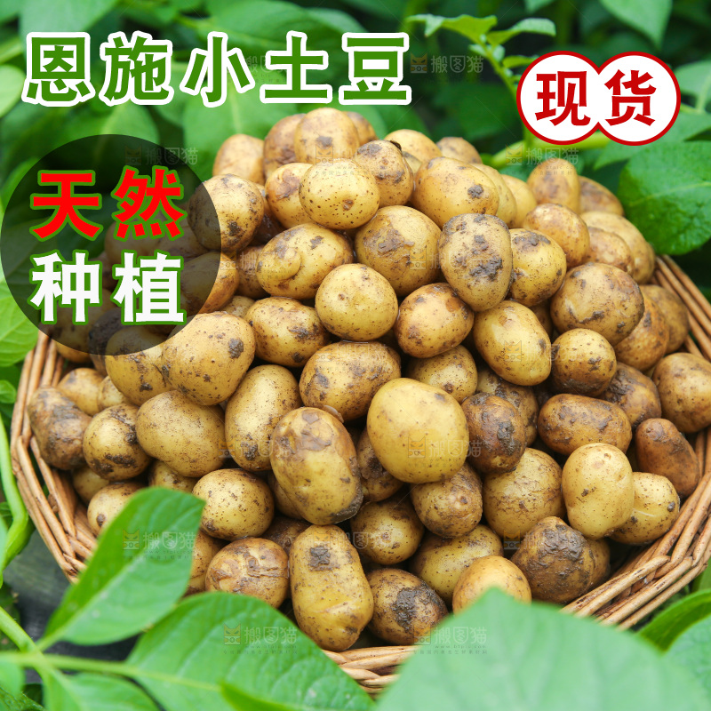 一篮新鲜小土豆