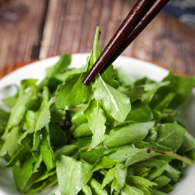 筷子上夹着枸杞菜