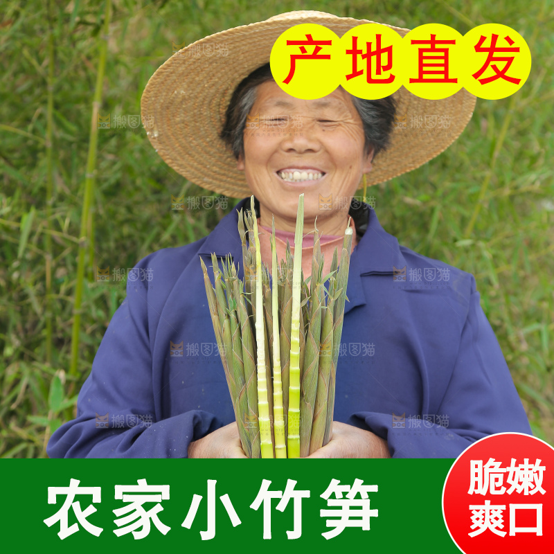 手里拿着小春笋