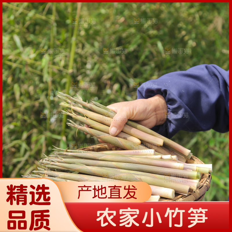 手里端着一篮小竹笋