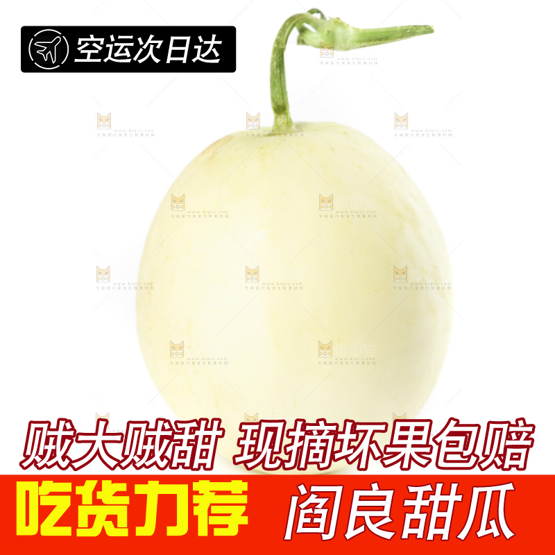 白底上的阎良小甜瓜