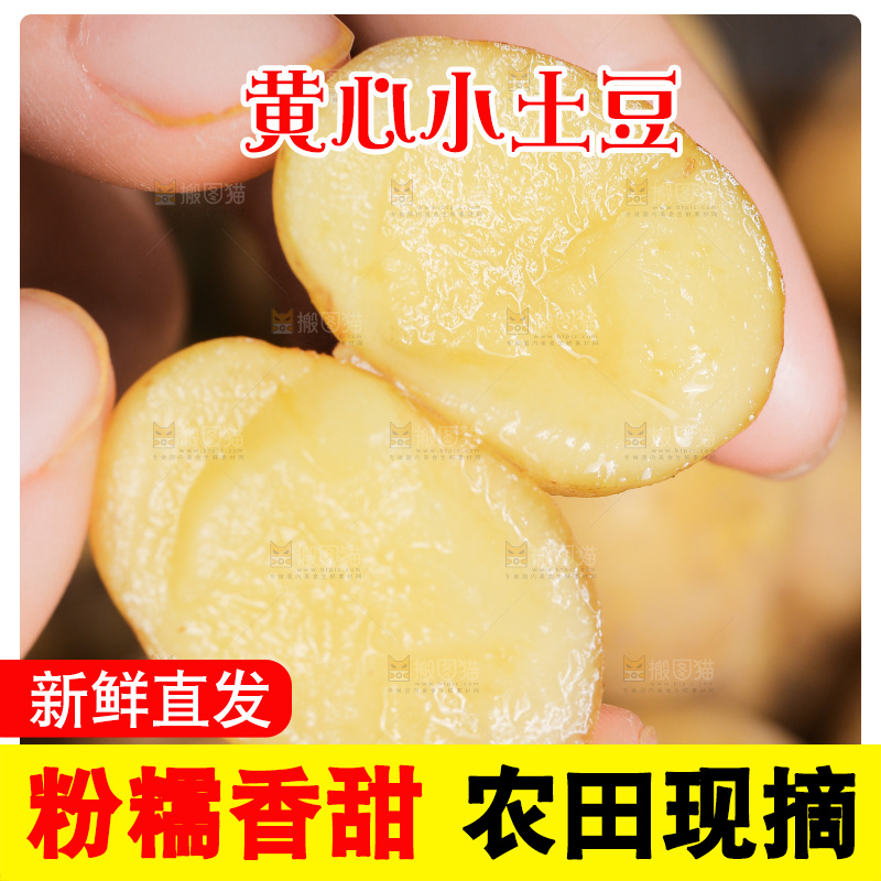 手里拿着小土豆
