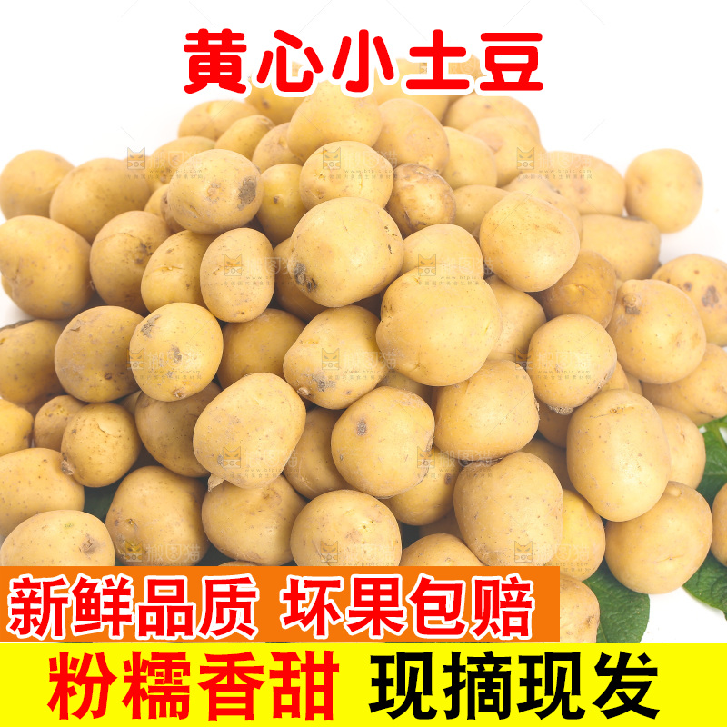 一堆小土豆