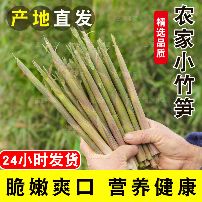手里拿着小竹笋