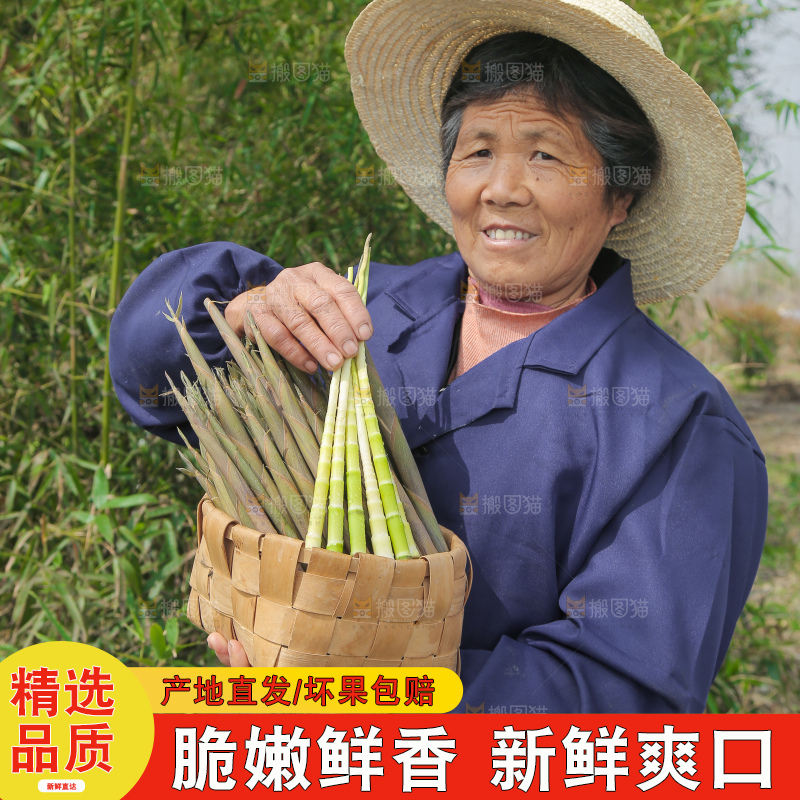 农民手里端着一篮小春笋