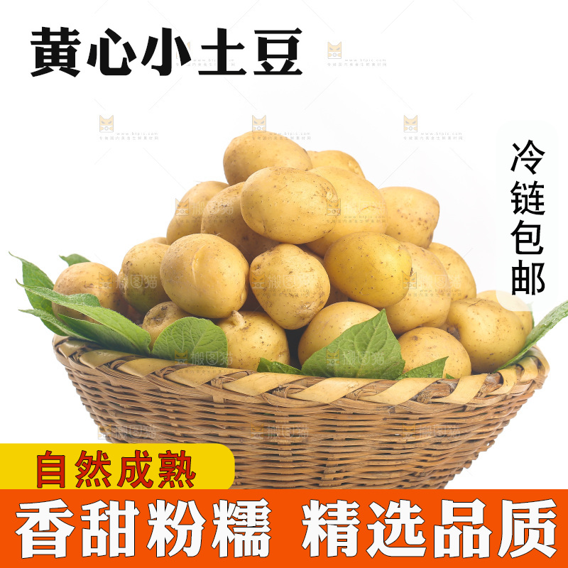 白底上放着一篮高山小土豆