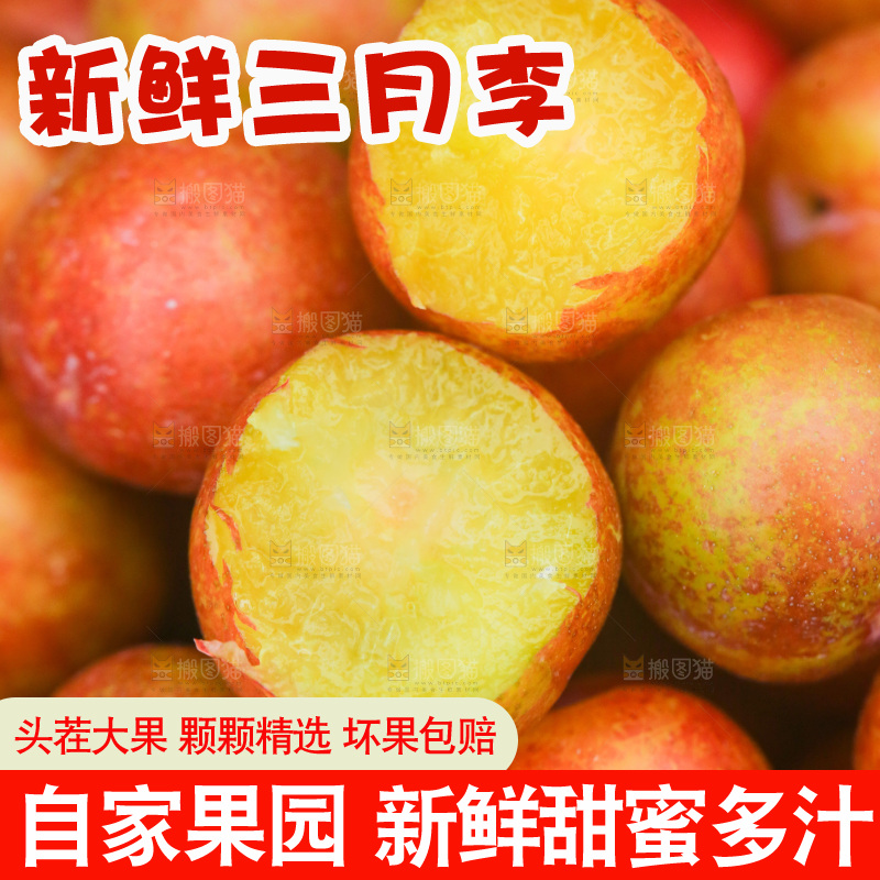 三月李纹理