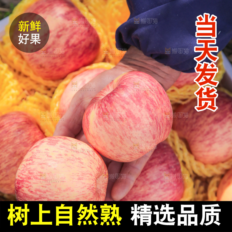 手里拿着红富士