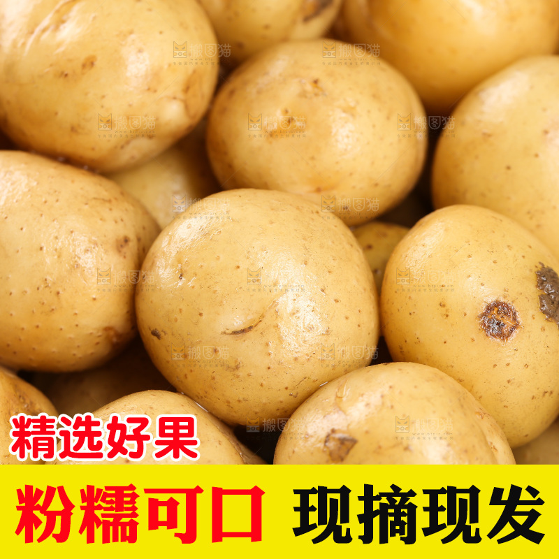 一篮新鲜小土豆