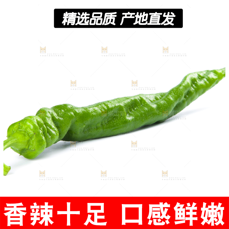 白底上摆放着青螺丝椒