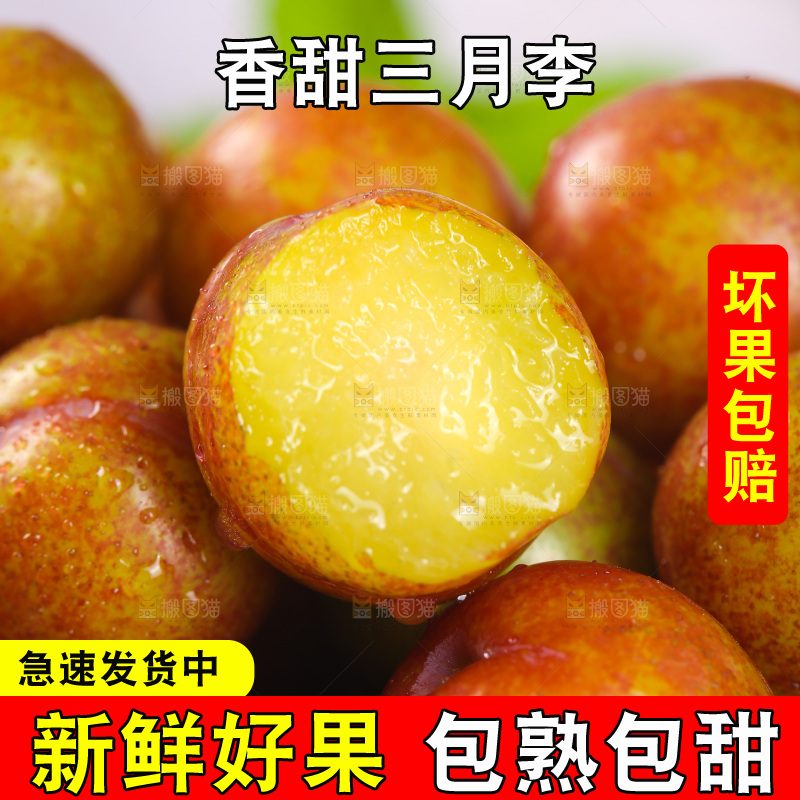 一堆新鲜三月李