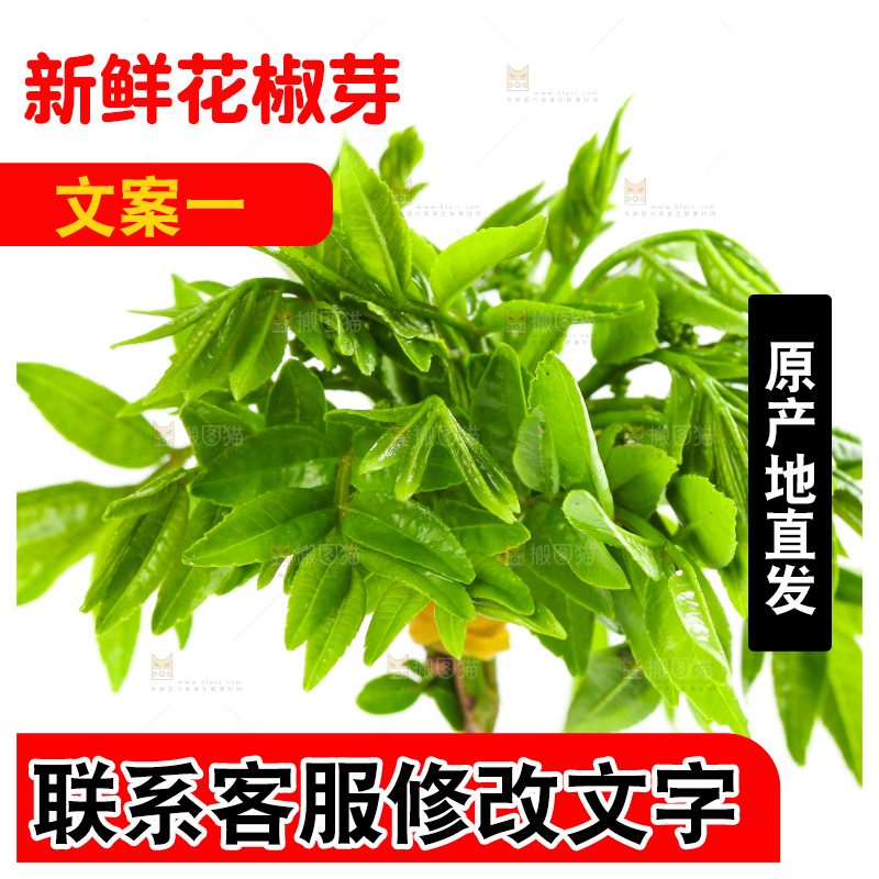 白底上放着花椒芽